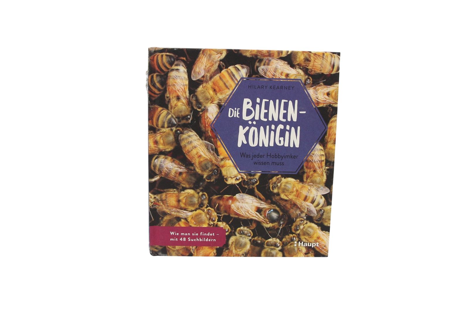 Die Bienen-Königin, Hilary Kearney