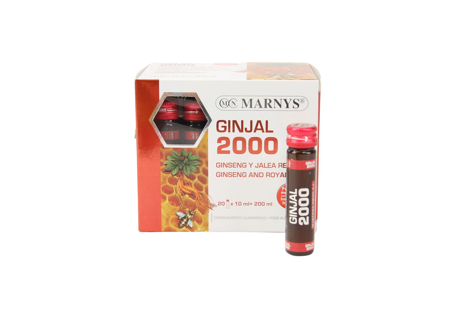 Ginjal 2000