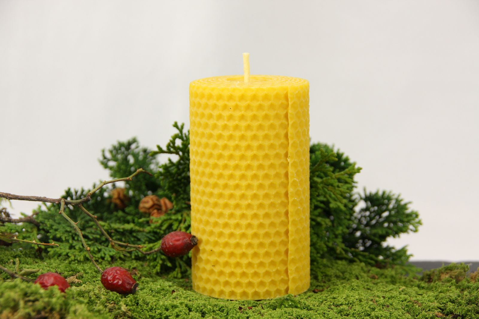 Stumpen Ø 5,5cm gerollt, Bienenwachskerze