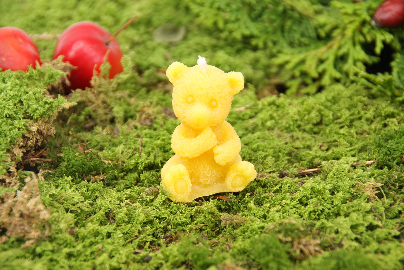 Teddybär, Bienenwachskerze