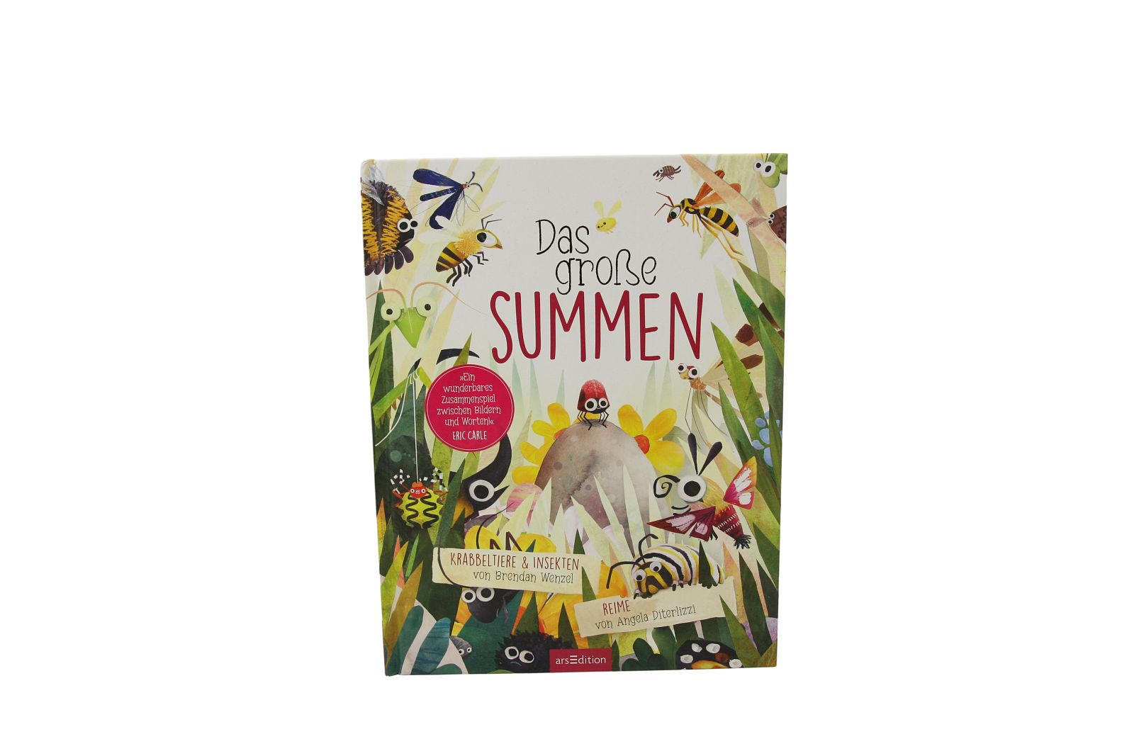 Das große Summen, Angela Diterlizzi und Brendan Wenzel