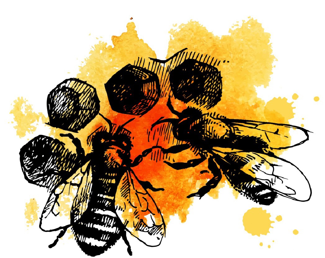 Bienen Altmann