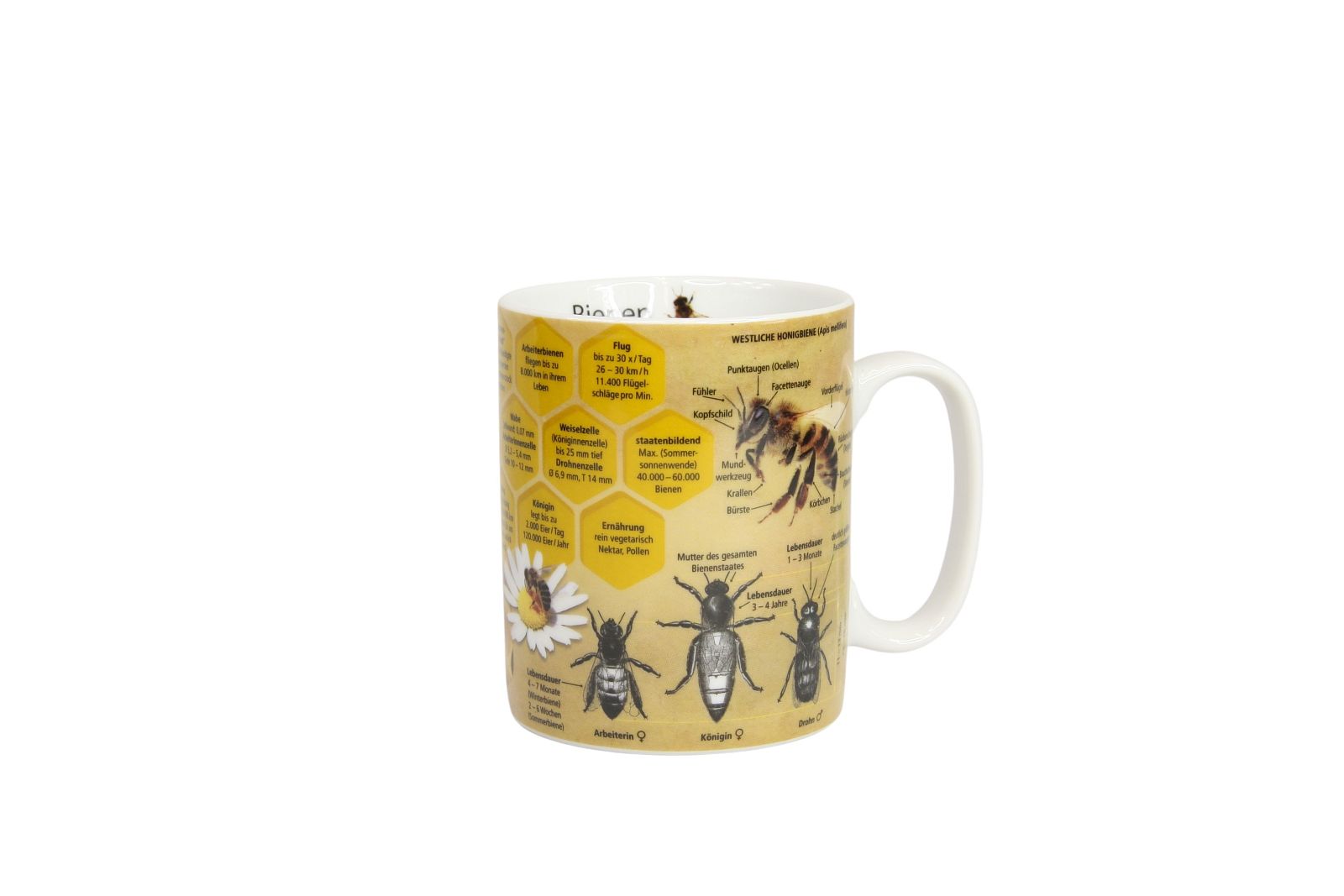 Kaffeetasse "Biene" Bieno Casa
